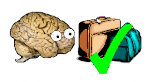 neuroskepticarrives-300x163.png