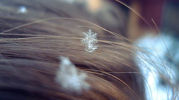 snowflake-e1325005701506.jpg