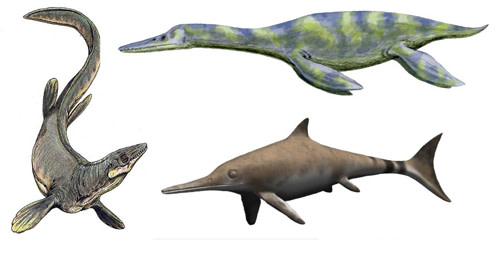 How prehistoric sea monsters sorted males from females | Discover Magazine