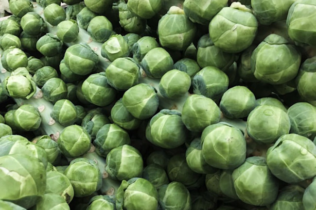 Brussels Sprouts - Pixabay