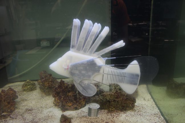 Robot Lionfish Fish - James Pikul 