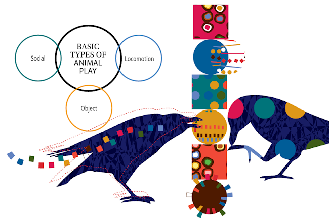 Types of Animal Play - Andrea Cobb