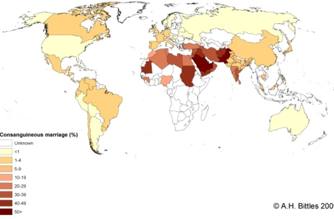 The individual & social risks of cousin marriage | Discover Magazine