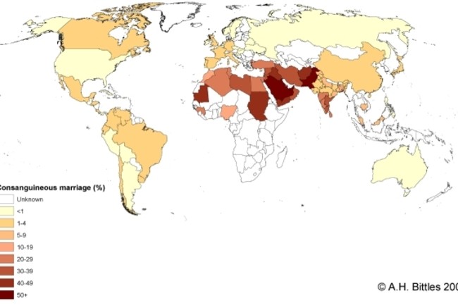 cousin marriage world map The Individual Social Risks Of Cousin Marriage Discover Magazine cousin marriage world map cousin marriage world map The Individual Social Risks Of Cousin Marriage Discover Magazine cousin marriage world map