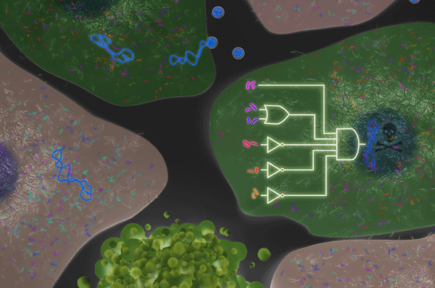 DNA_computers.gif