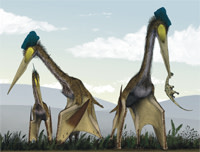 Quetzalcoatlus.jpg