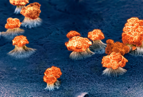 nanowires.jpg