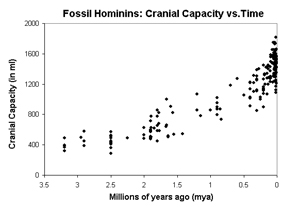 cranial.jpg