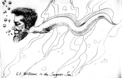 williams-worm.jpg