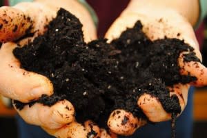 soil-300x200.jpg