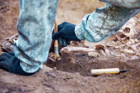 'What's the Coolest Thing You've Ever Found?' Real Archaeologists Share Their Favorite Finds