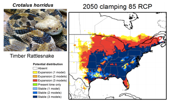 timber_rattlesnake_worst-case_climate_change.png