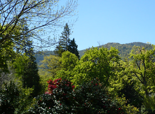 park.jpg