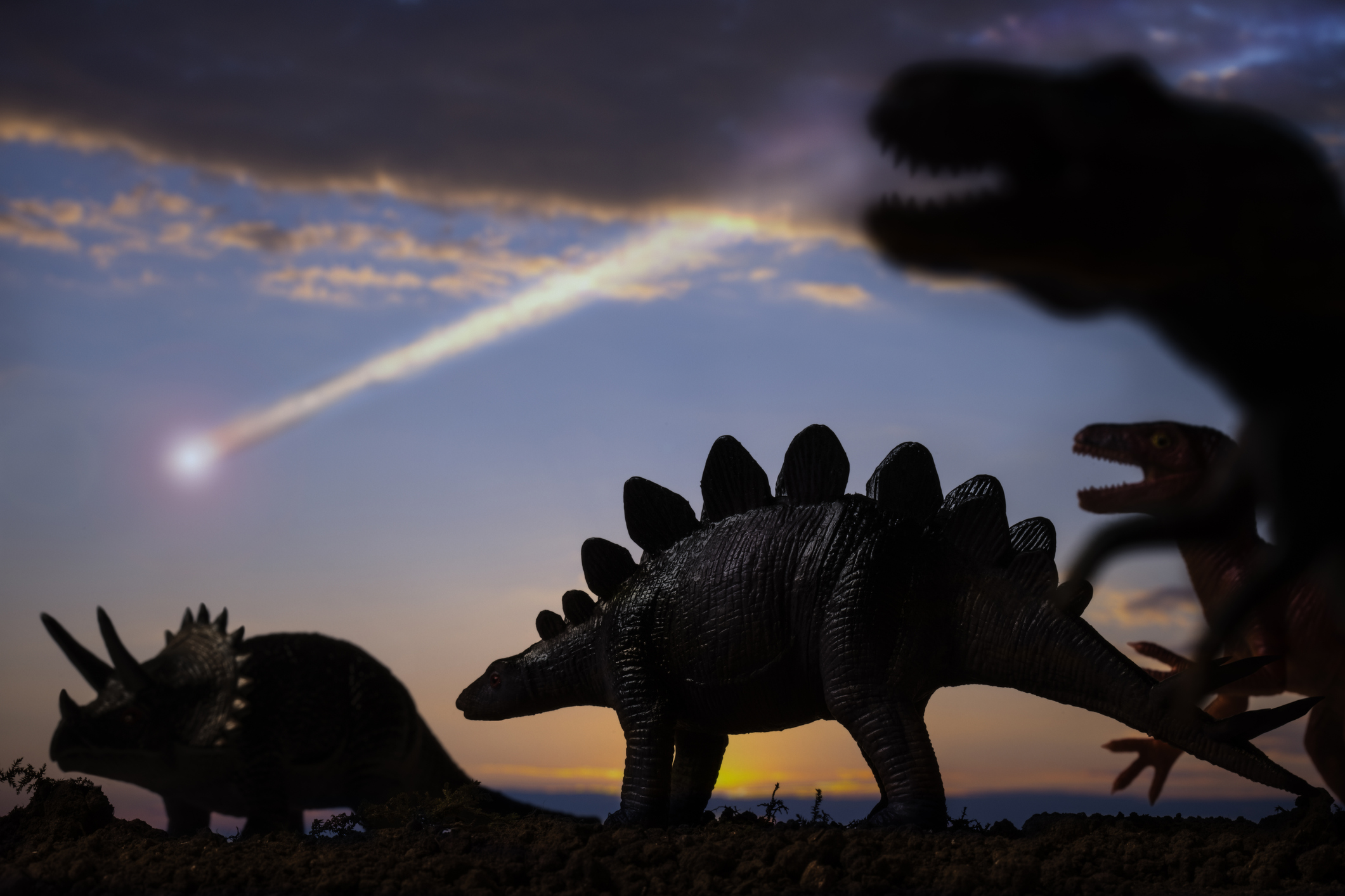 Comment certains animaux ont-ils survécu à l’astéroïde qui a tué les dinosaures ?