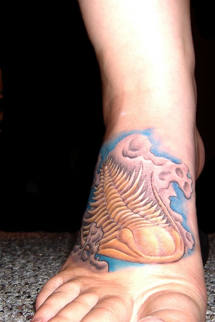 Triolobite-foot440.jpg