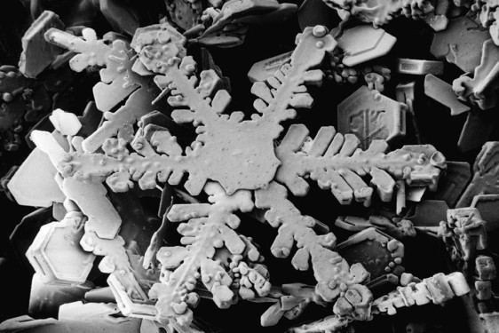 Snow Show: Snowflakes Like You've Never Seen Them Before