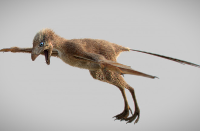Ambopteryx longibrachium - Chinese Acad of Sci