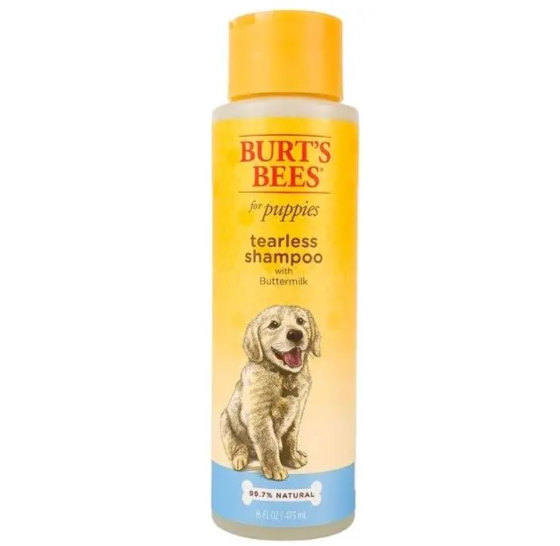 Scented shop dog shampoo