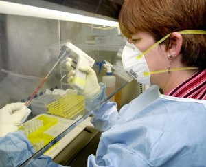 sars-300x243.jpg