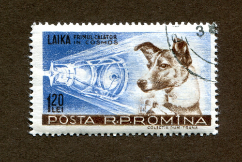 Romanian stamp of Laika, famous dog astronaut