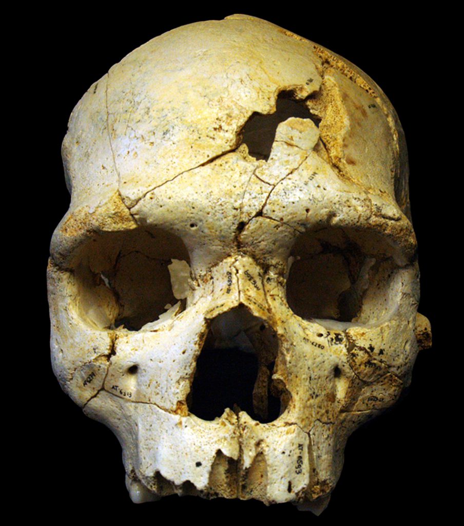 The Sima Hominins: An Ancient Human Cold Case