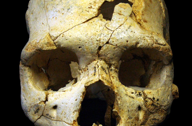 Sima-de-los-Huesos-Skull-904x1024