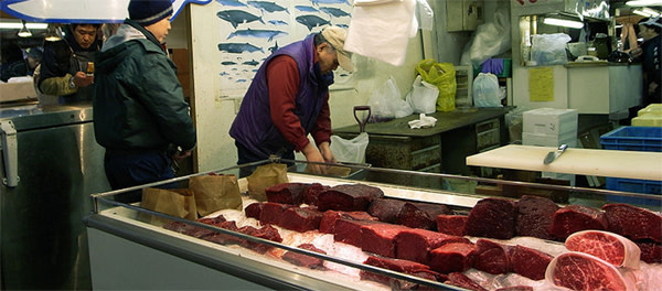 Whale_meat.jpg