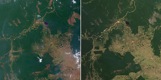 Deforestation satellite view - NASA
