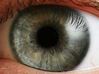 Eyecloseip.jpg