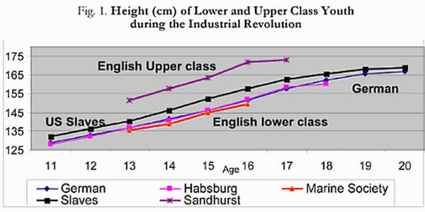 height1.jpg