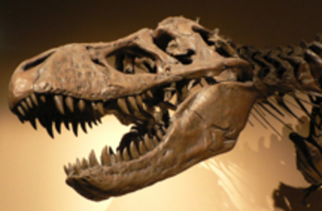 tyrannosaur220.jpg