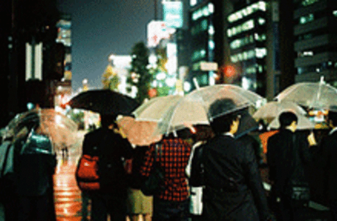 umbrellaweb.gif