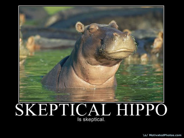 skepticalhippo.jpg