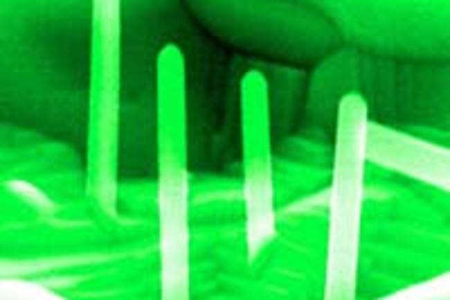 rd_nanotubepillars.jpg