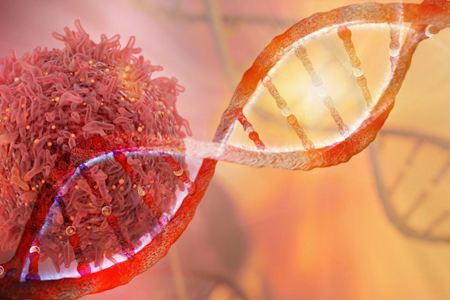 What DNA From 2,600 Tumors Is Telling Scientists About Cancer ...