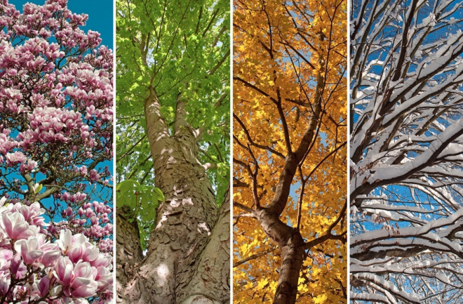Seasons - Shutterstock