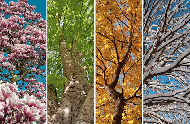 20 Things You Didn #39 t Know About Seasons Discover Magazine 20 Things You Didn #39 t Know About Seasons Discover Magazine