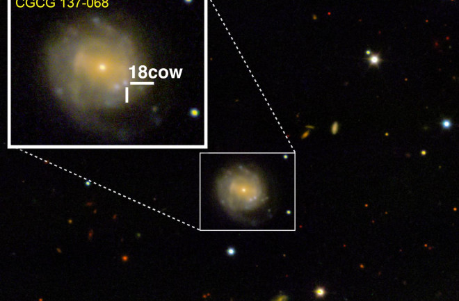 A look at The Cow (approximately 80 days after explosion) from the W.M. Keck Observatory in Maunakea, Hawaii. The Cow is nestled in the CGCG 137-068 galaxy, 200 million light years from Earth. (Credit: Raffaella Margutti/Northwestern University)