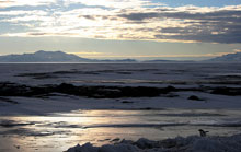 antarctica.jpg