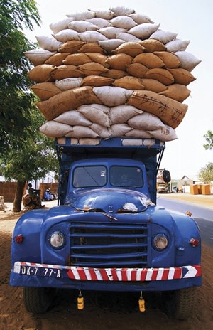 camion di arachidi