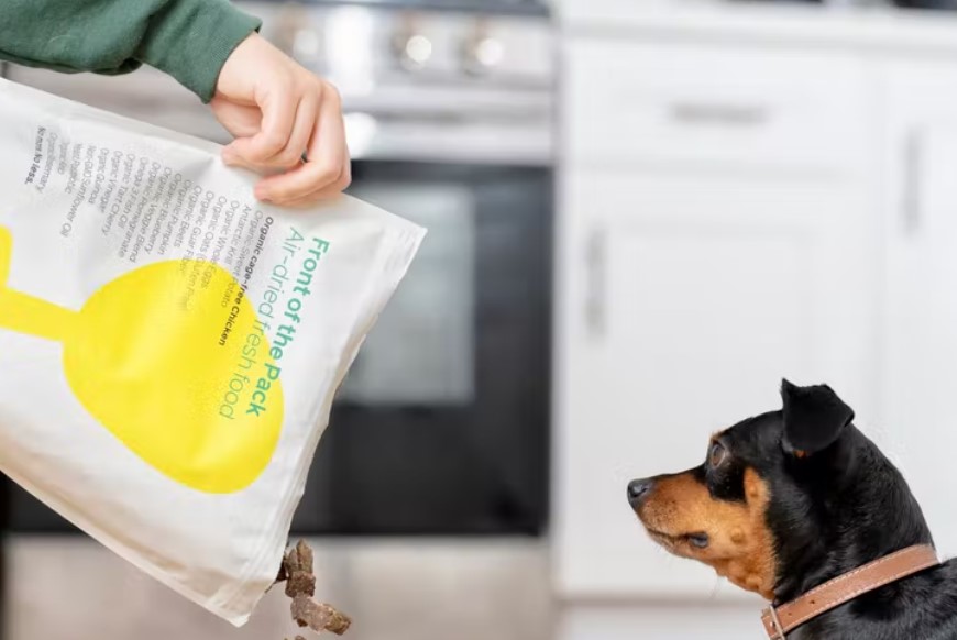 How Long Does It Take For Hormones To Leave A Dog After Neutering