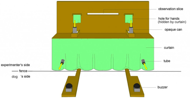 dog-setup-1024x528.jpg