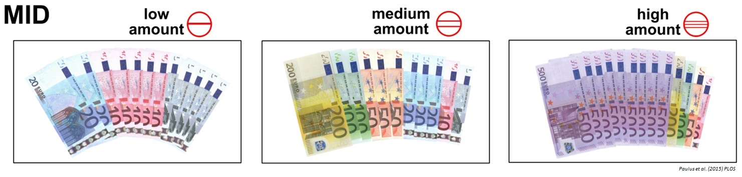 money_fmri.jpg