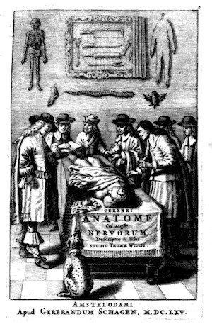 willis-frontispiece1.jpg