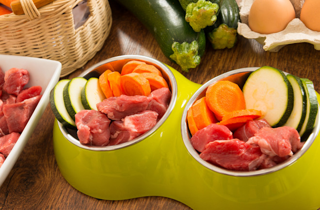 20 Best Organic Dog Foods This Year Discover Magazine