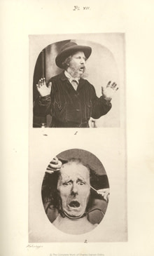 faces.jpg
