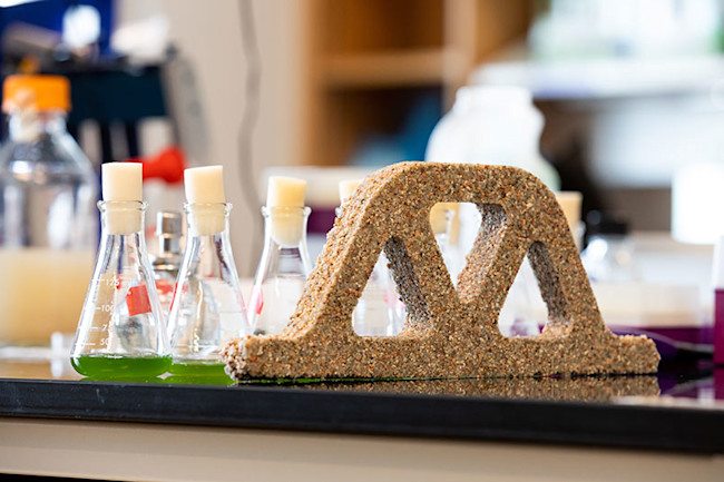 This Regenerative Building Material is Made From Sand and Bacteria – Construction Supply Magazine