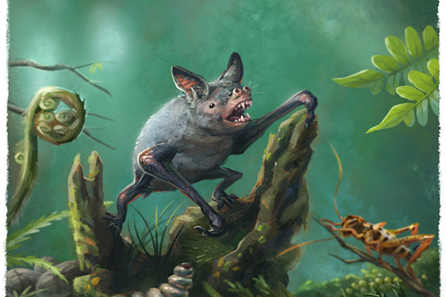 Image result for Ghosts of Gondwana images