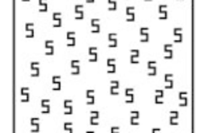 synes-1.jpg
