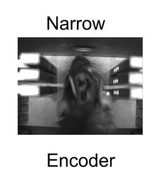 encoder-rat.jpg